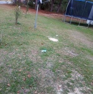 Meet your Posher, Carla